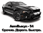 АвтоВыкуп-54
